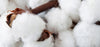 Organic Cotton Saves the Day