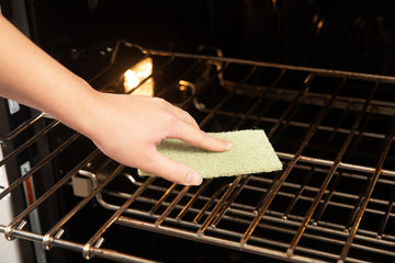 Agave Leaf Scour Pad