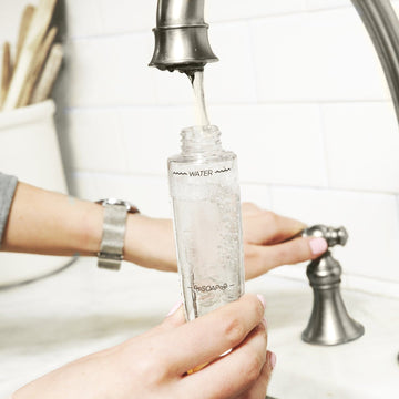 Dish Brush Bestsellers Set