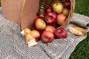 Apple Picking Szn