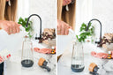 Vinegar or Bust!