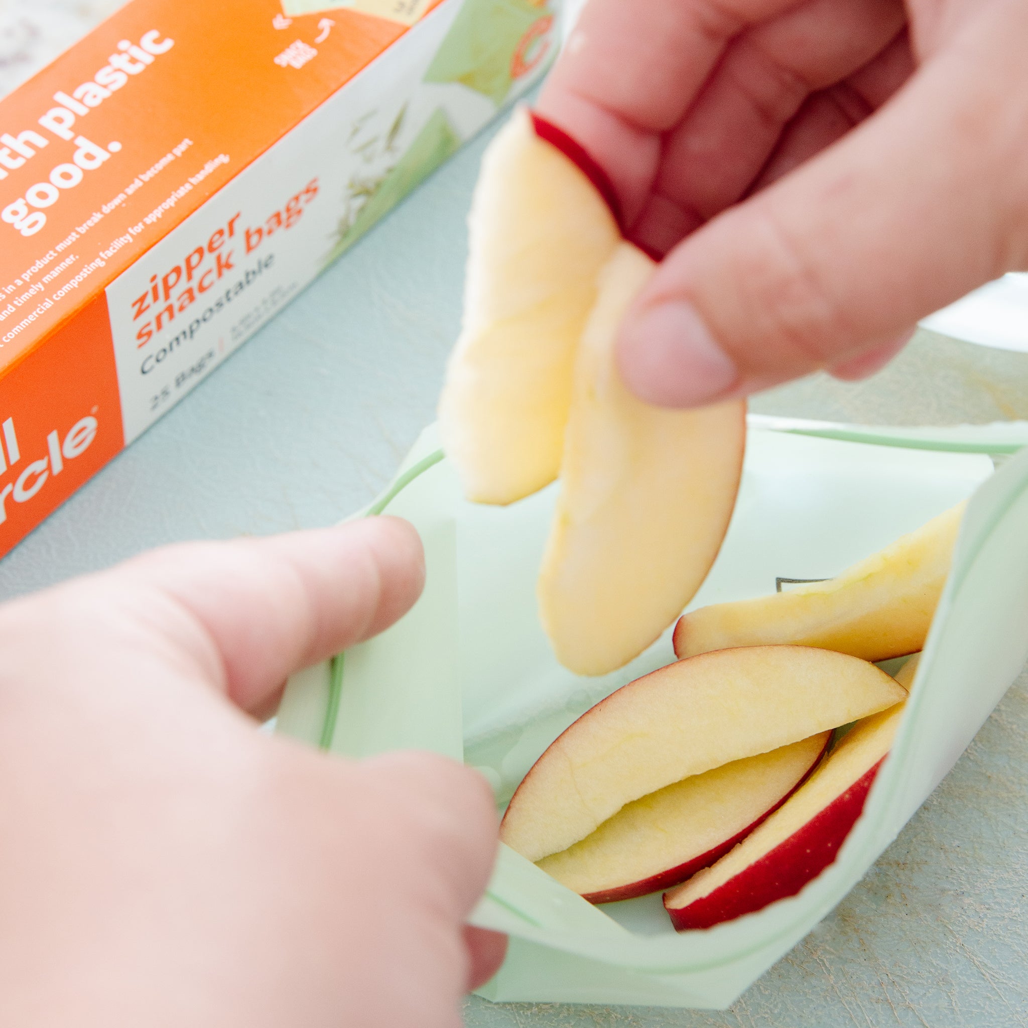 Zipper Snack Bags