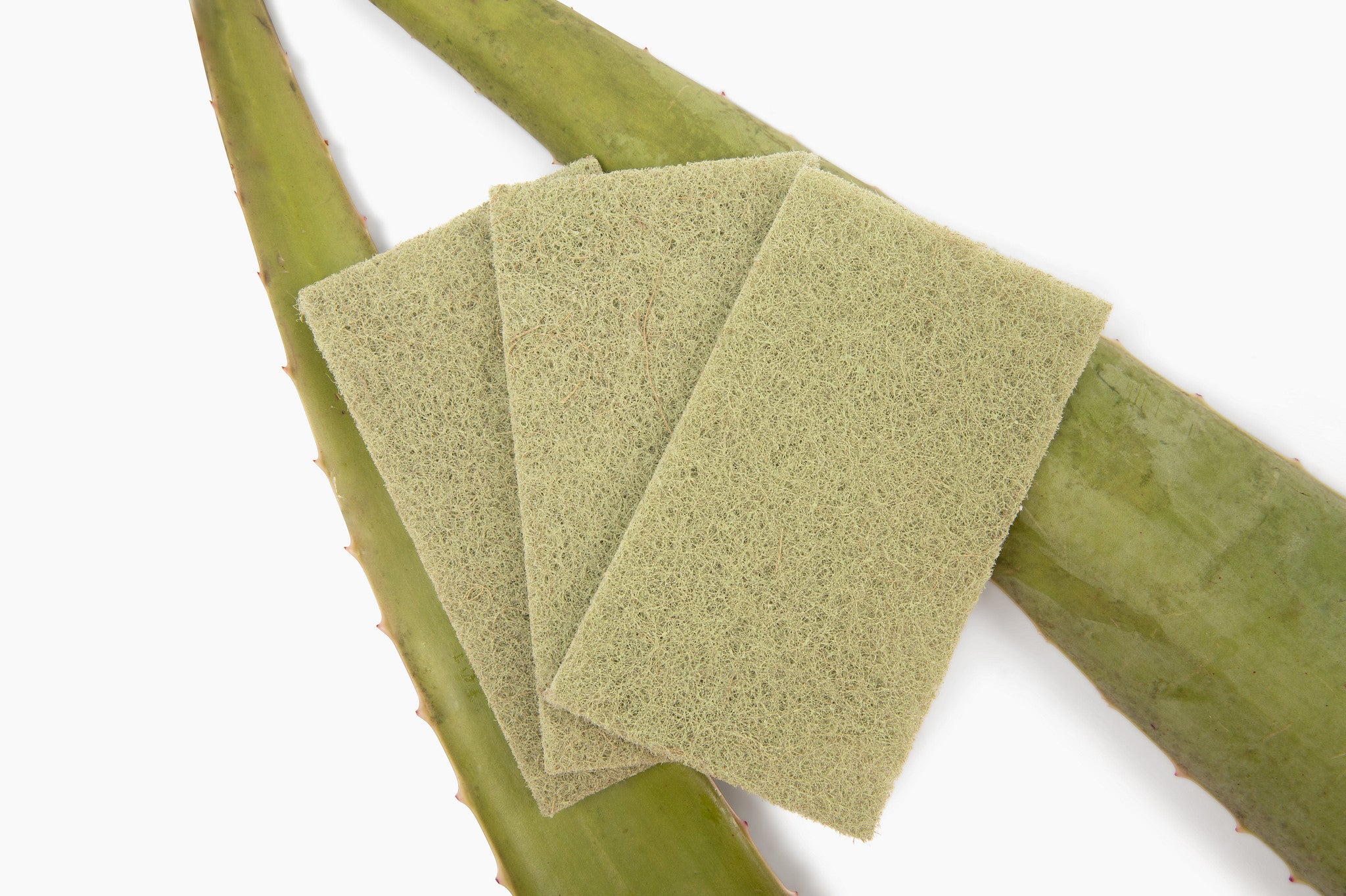 Agave Leaf Scour Pad